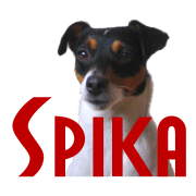 Spika